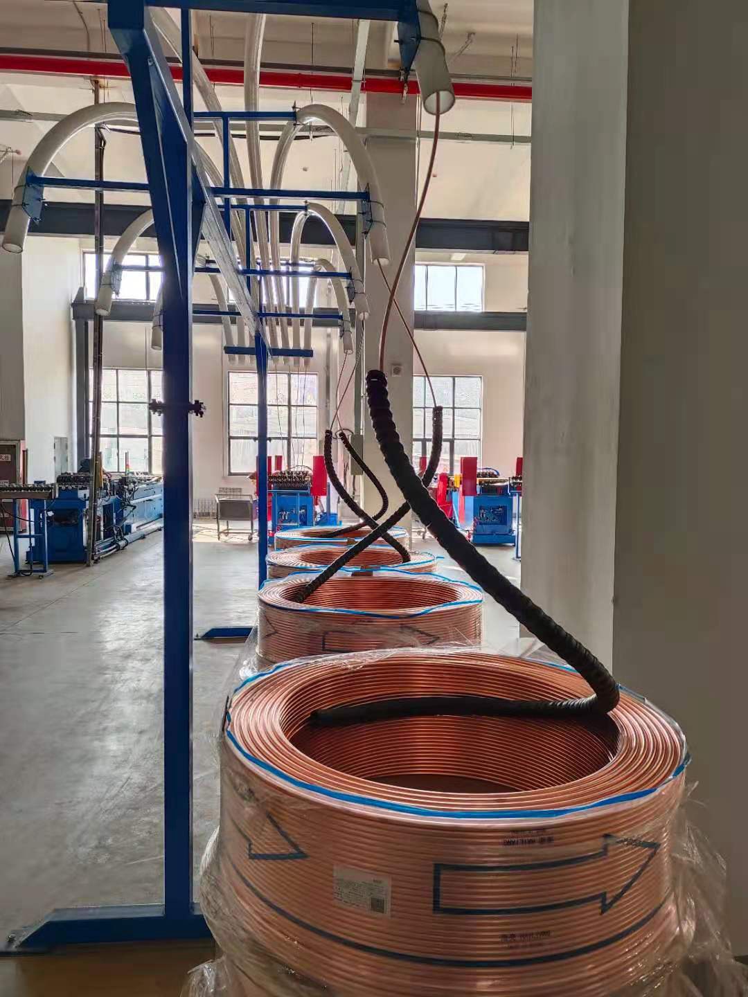 Producción y procesamiento